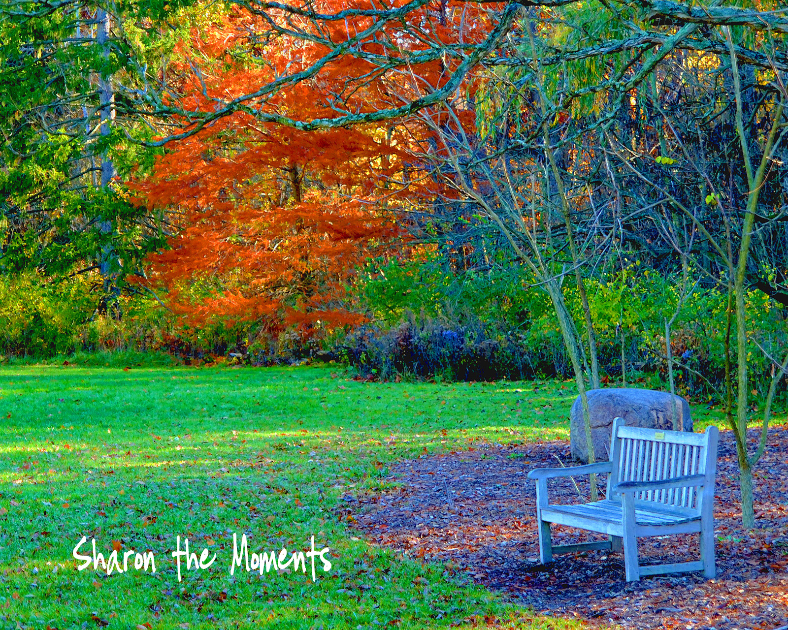 Autumn Color at Inniswood Garden Metro Park