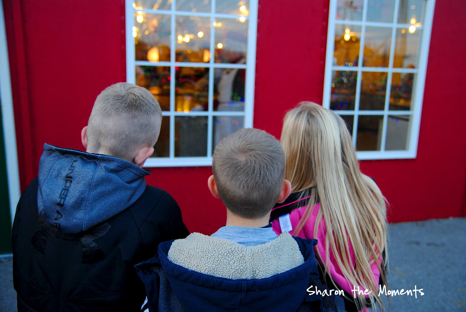 Family Fun at the Columbus Zoo Winter Wildlights|Sharon the Moments blog