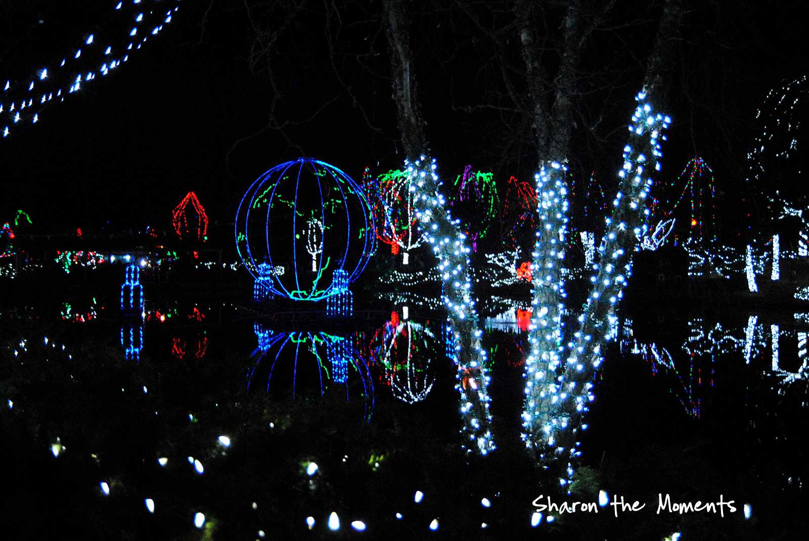 Family Fun at the Columbus Zoo for Winter Wildlights\Sharon the Moments blog
