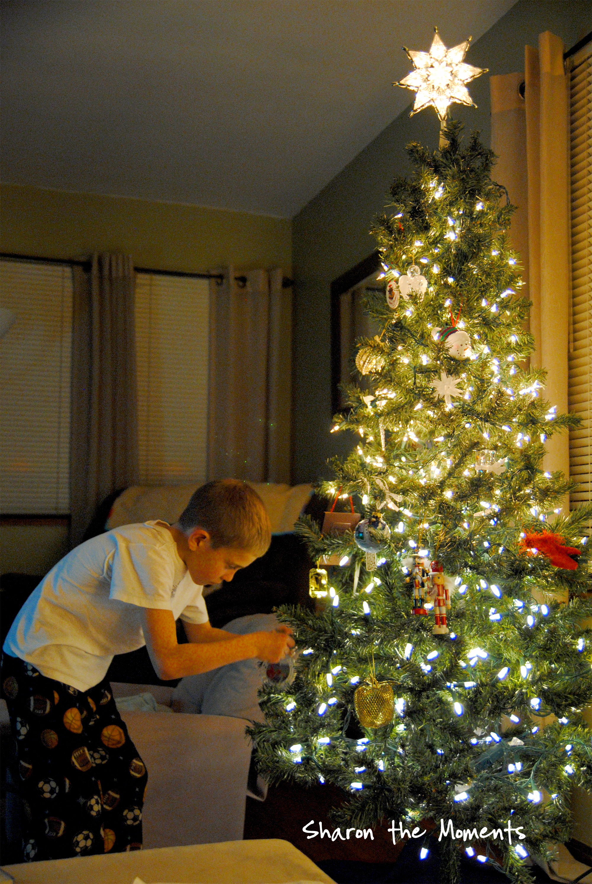 Decorated Christmas Tree|Sharon the Moments blog
