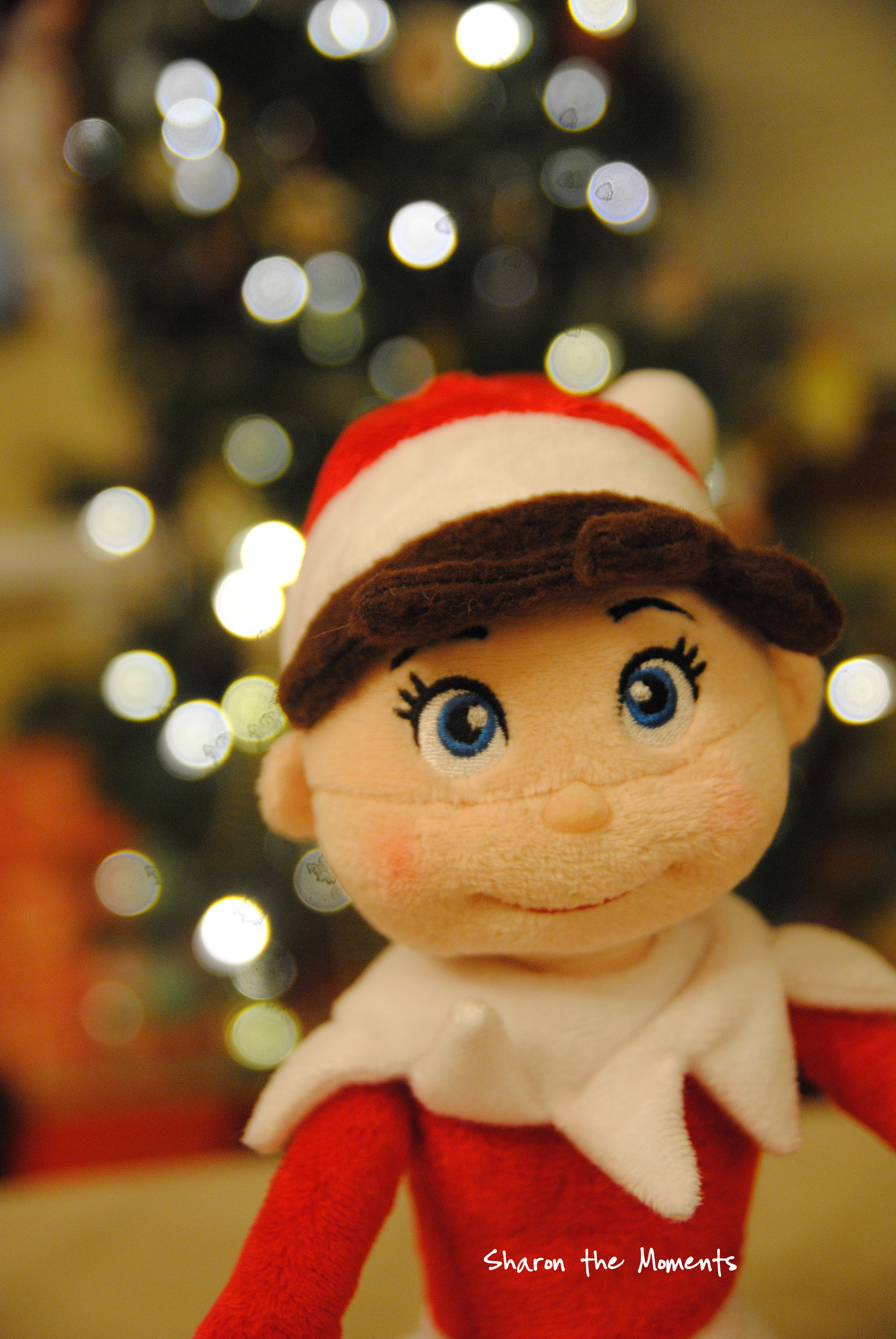 Christmas Elf on the Shelf Silly Antics