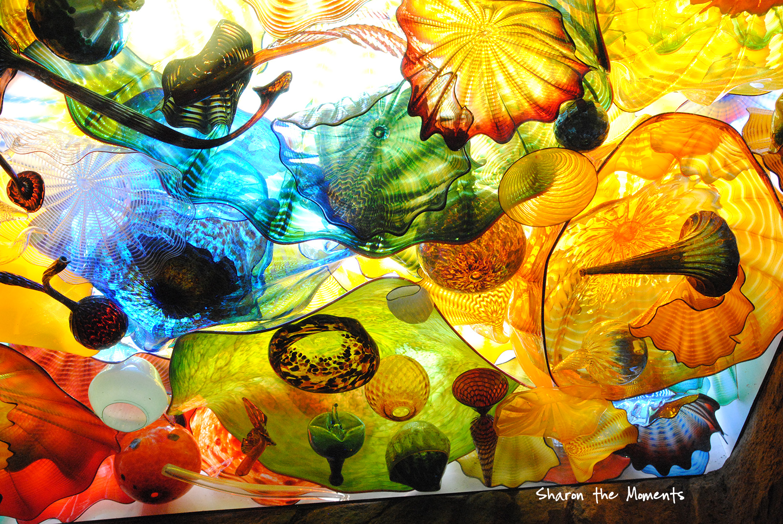 Favorite Photo Friday ™ |Franklin Park Conservatory Chihuly Glass