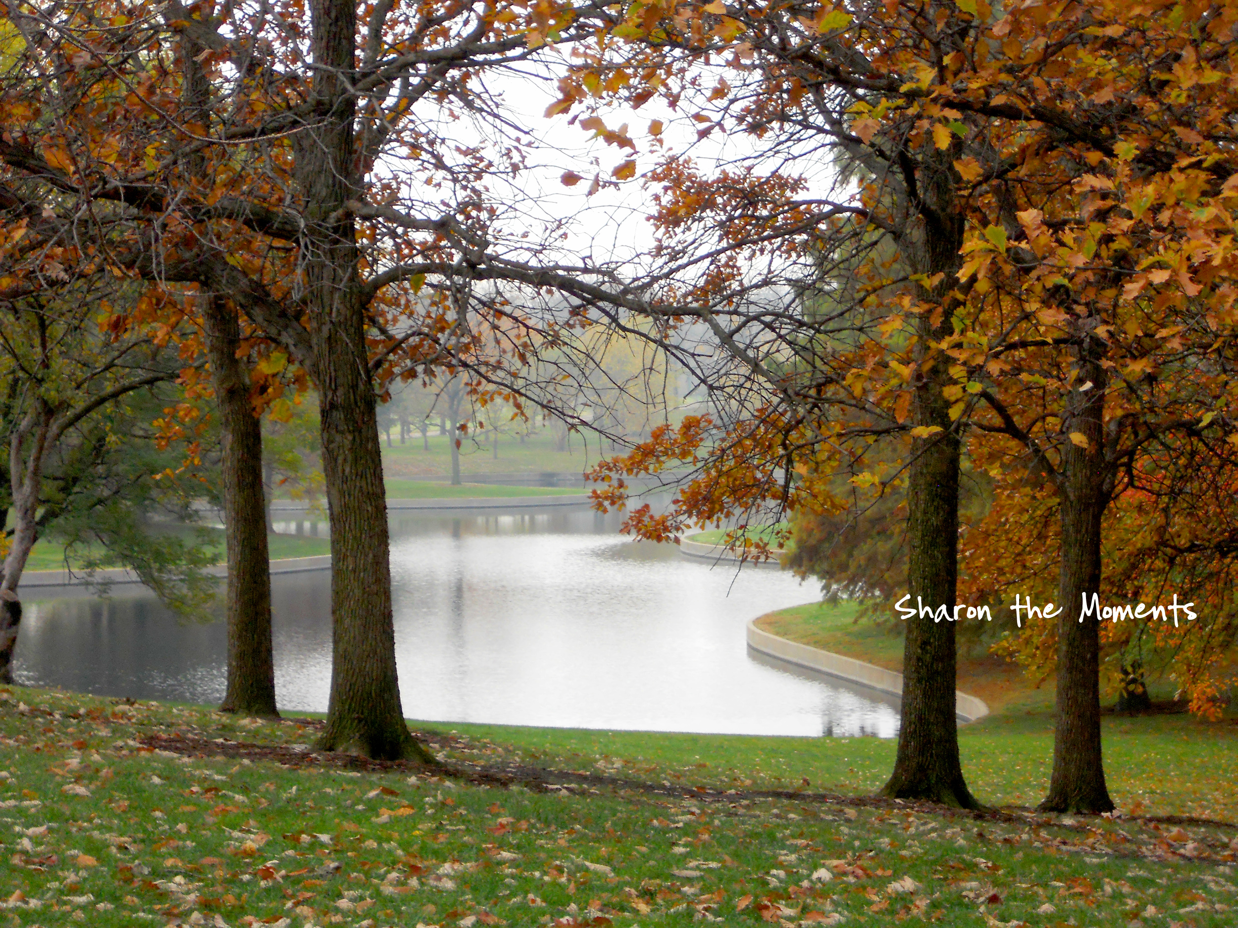 Favorite Photo Friday ™ … St Louis Missouri Arch Park