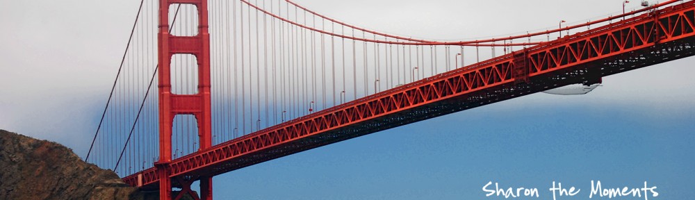 San Francisco Golden Gate Bridge|Sharon the Moments Blog