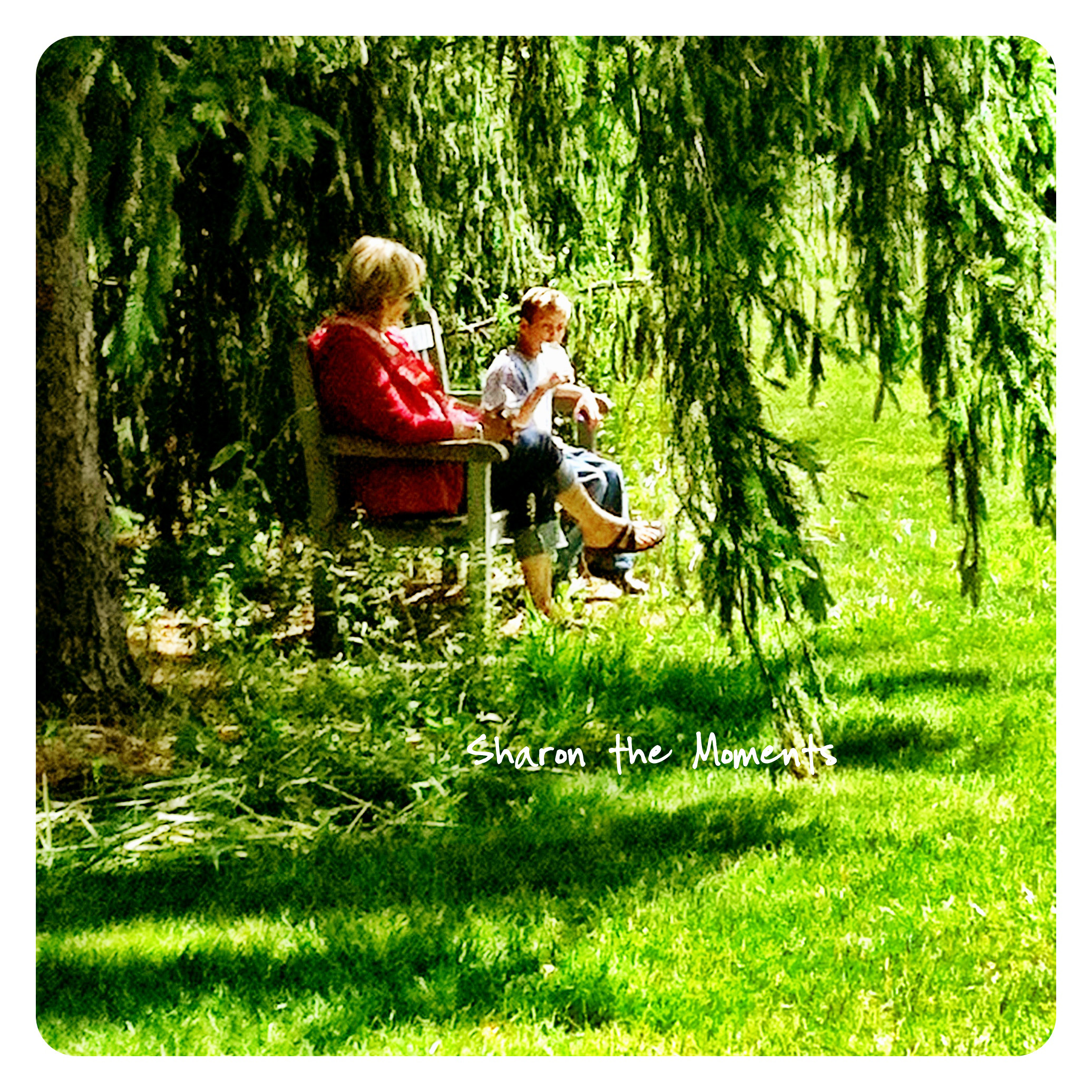 iPhoneography for Relaxing Sunday Mornings Inniswood Metro Park|Sharon the Moments blog