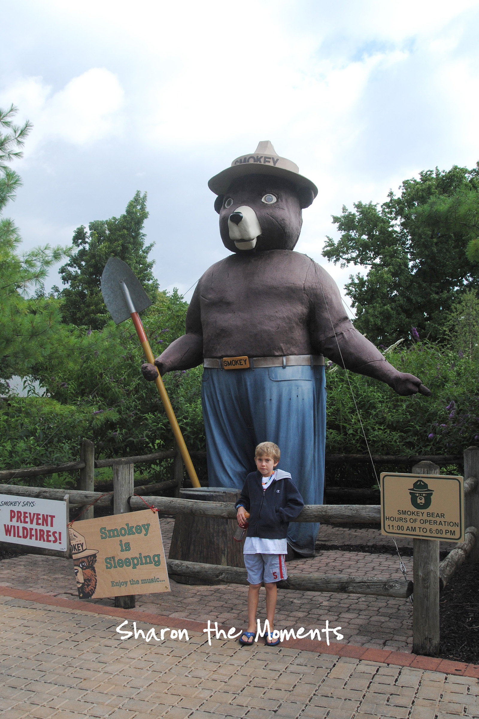 Ohio State Fair Smokey the Bear Fond Memories|Sharon the Moments blog