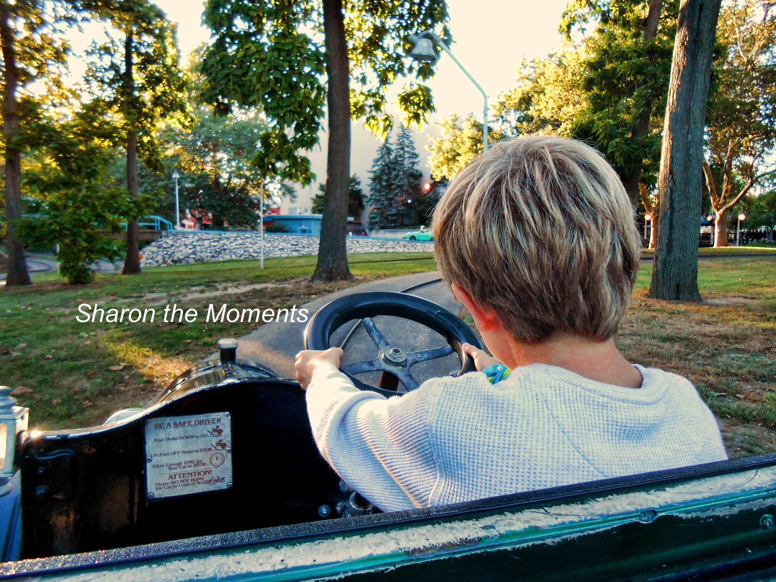 Cedar Point Cadilliac Cars Ride|Sharon the Moments Blog