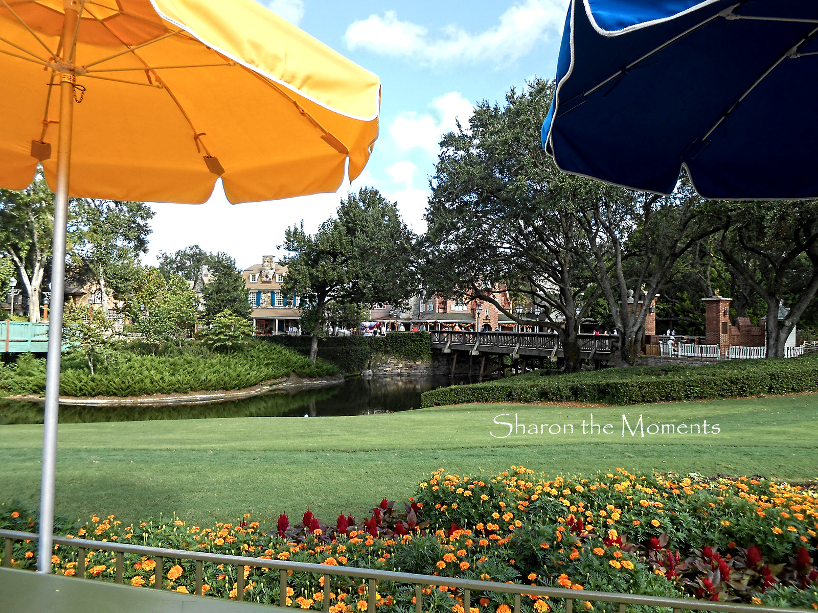 Our October Visit to Walt Disney World Magic Kingdom|Sharon the Moments Blog