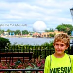 Walt Disney World Epcot|Sharon the Moments Blog