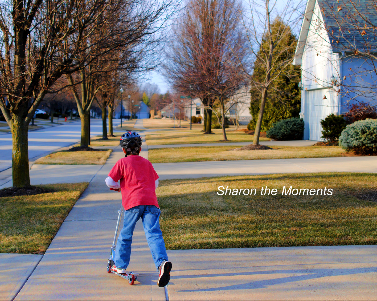 Favorite Photo Friday ™ … Signs of Spring!