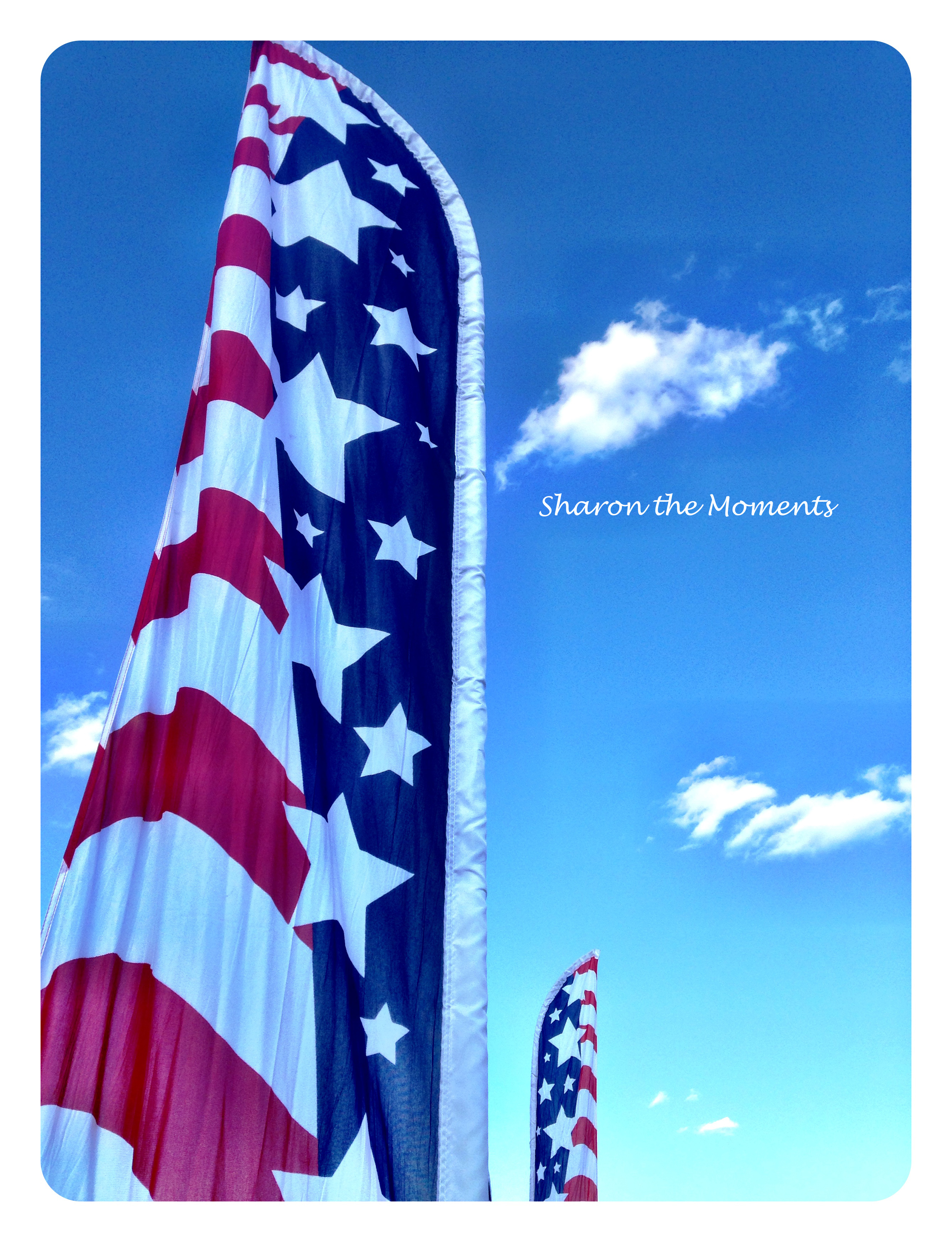 Dublin OH 4th of July Celebration|Sharon the Moments Blog