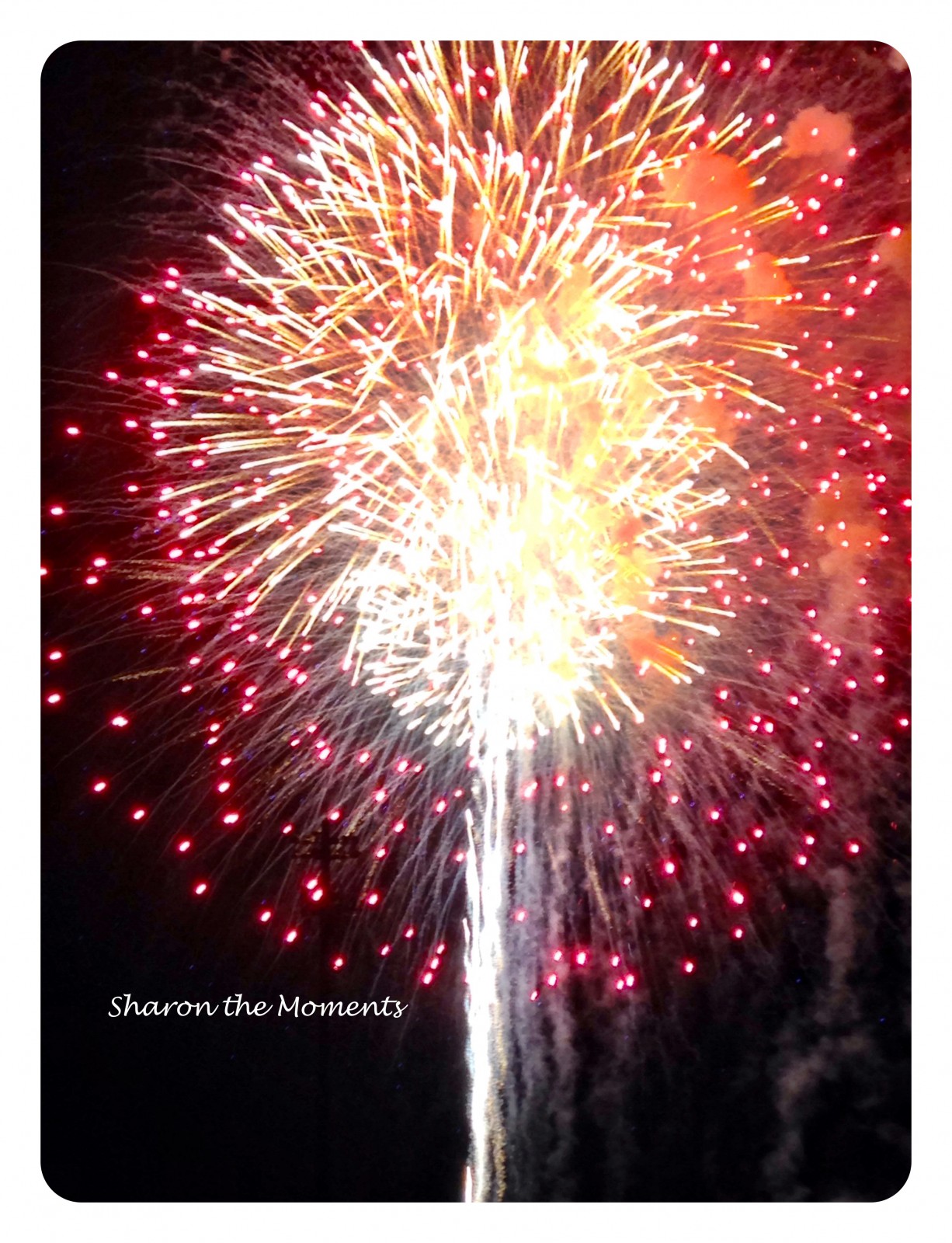 Dublin OH 4th of July Celebration|Sharon the Moments Blog