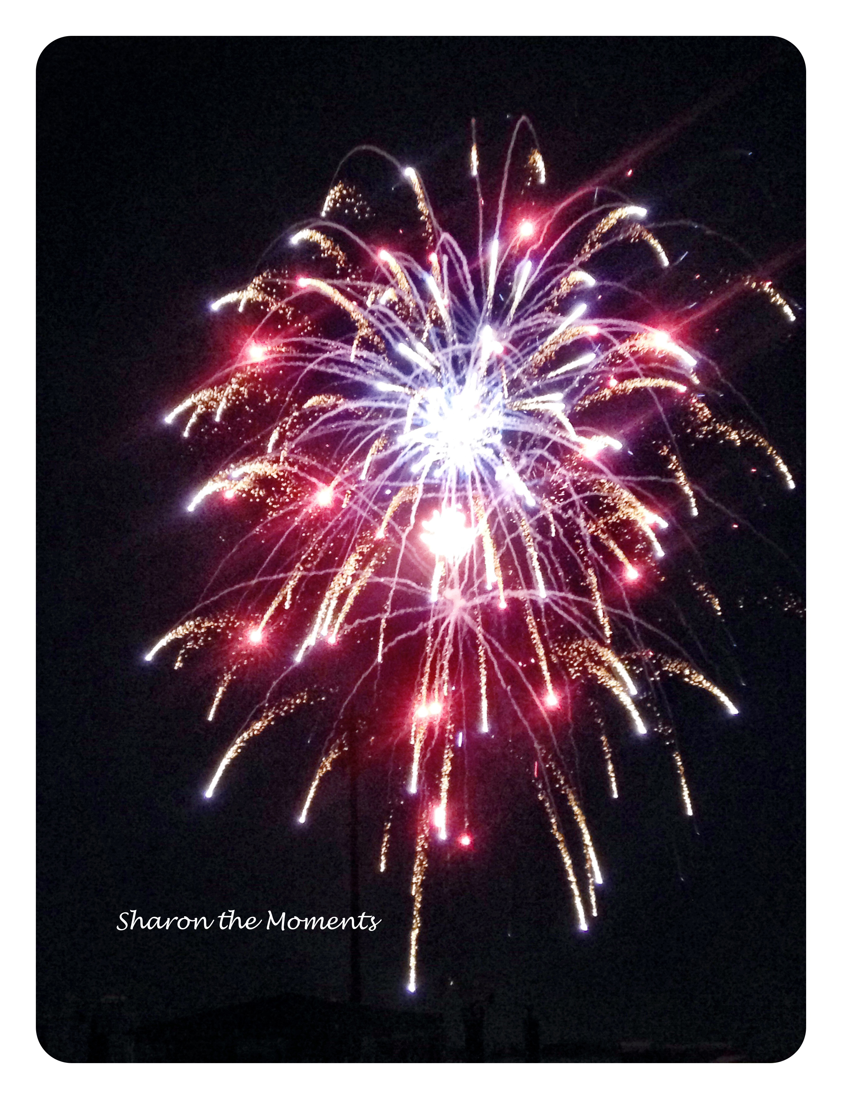 Dublin OH 4th of July Celebration|Sharon the Moments Blog