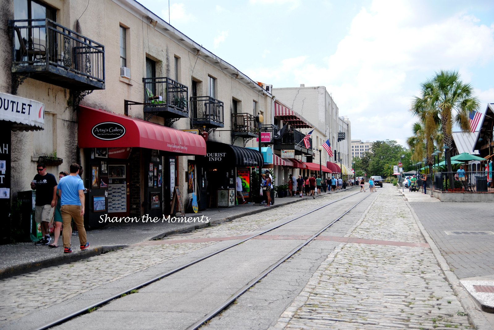 Historic Old Savannah Trolley Tours|Sharon the Moments Blog