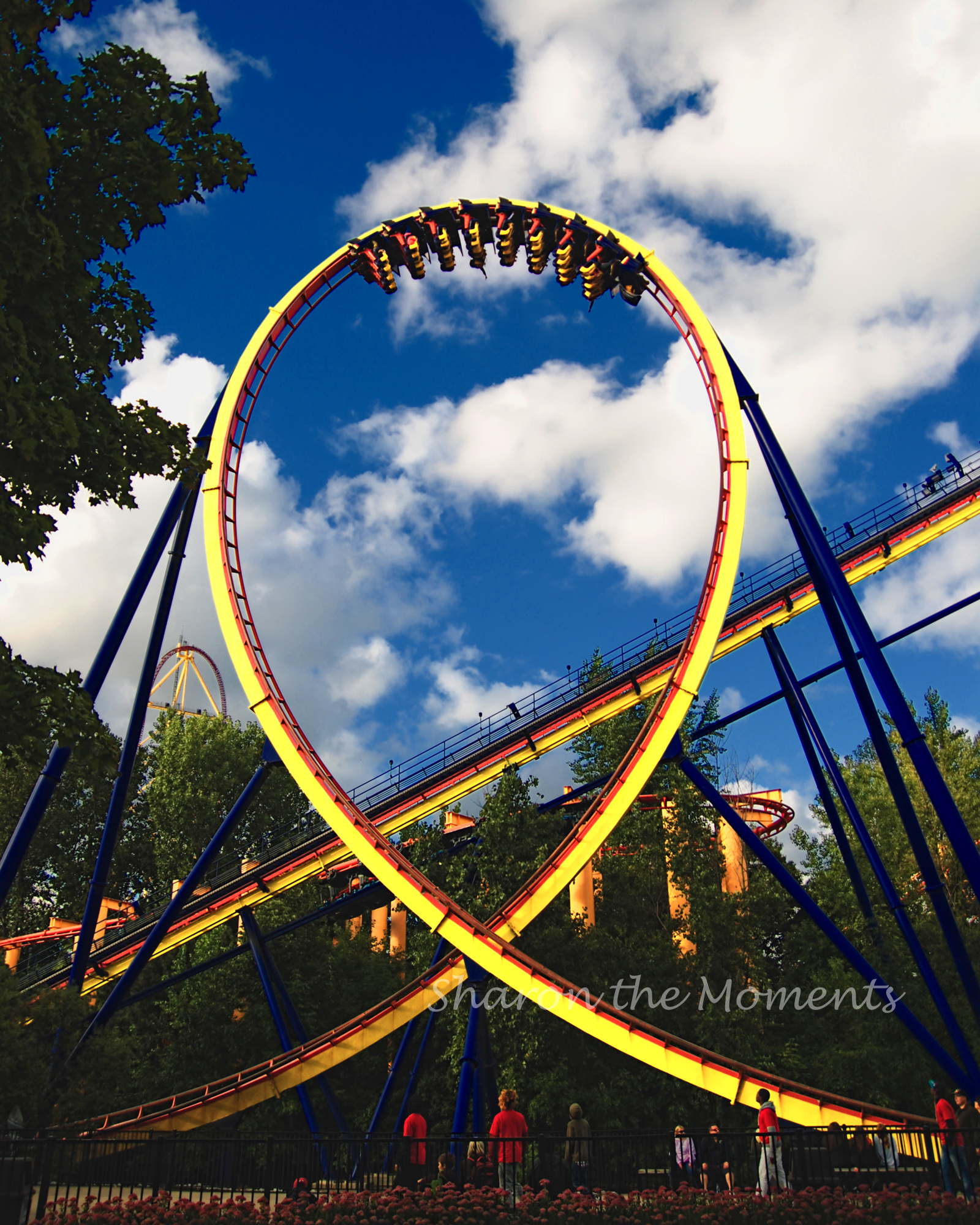 Favorite Photo Friday in Cedar Point Sandusky Ohio Mantis|Sharon the Moments Blog