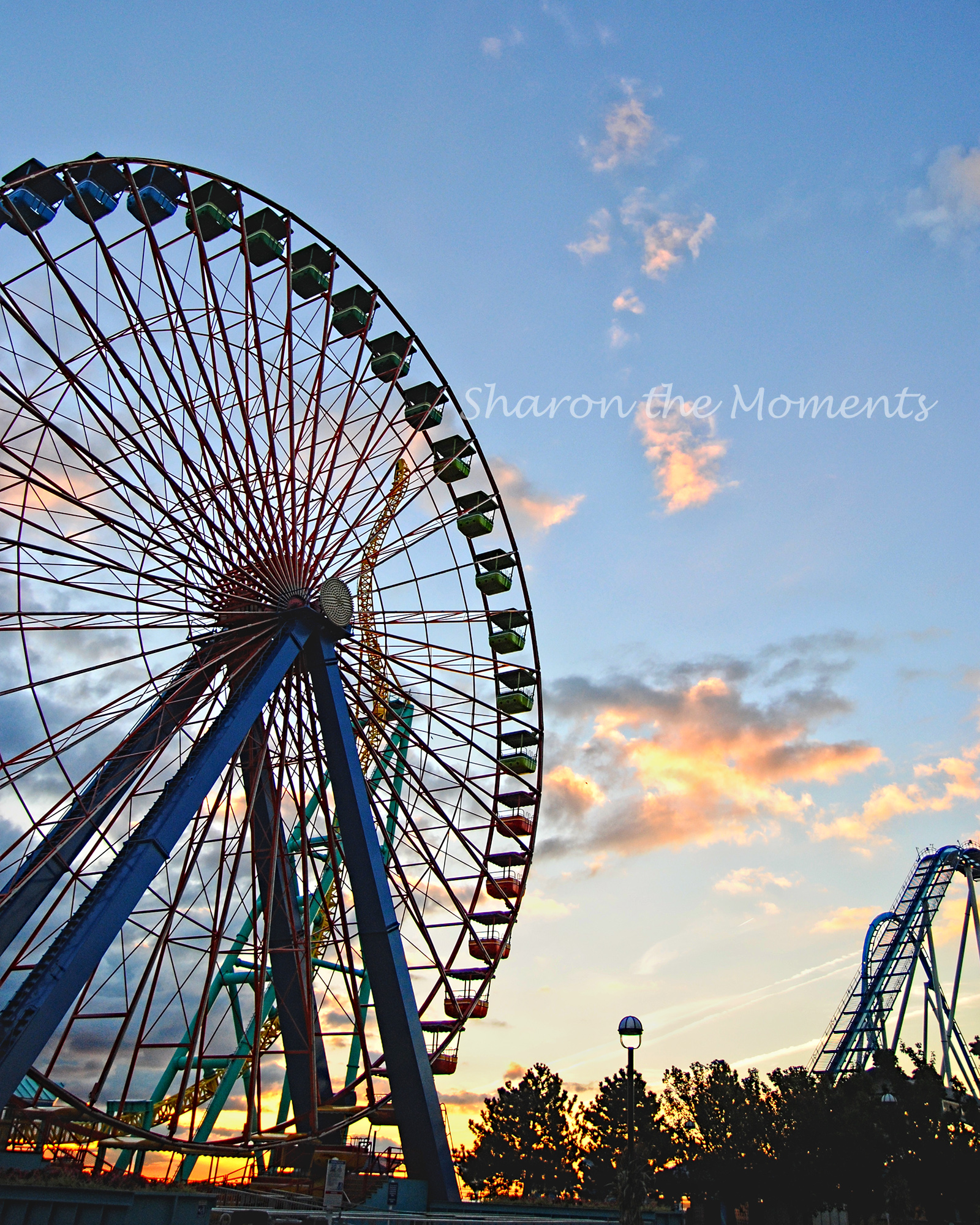 Favorite Photo Friday in Cedar Point Sandusky Ohio Giant Ferris Wheel|Sharon the Moments Blog