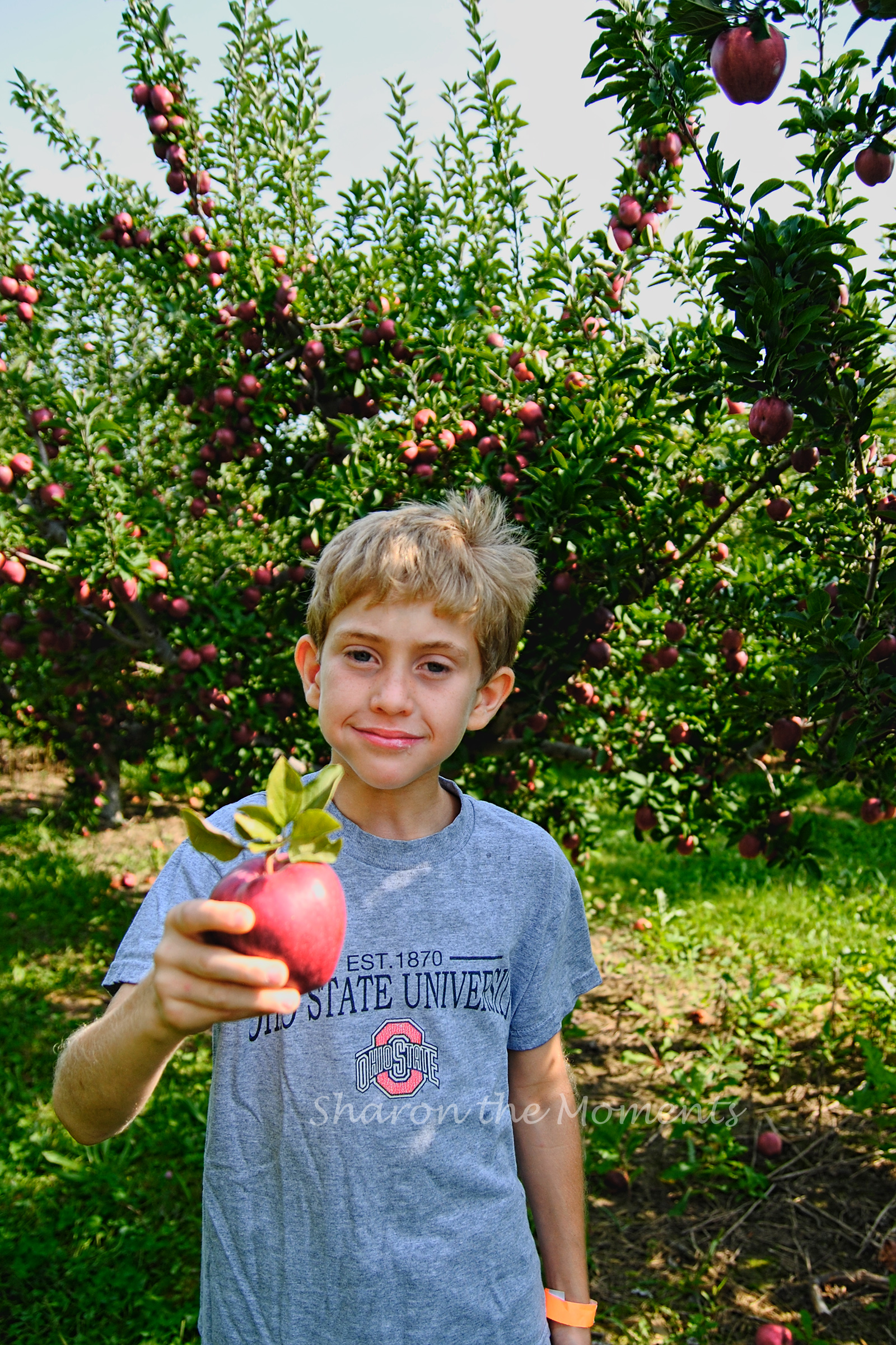 September Weekend at Lynd Fruit Farm Apple Orchard| Sharon the Moments Blog