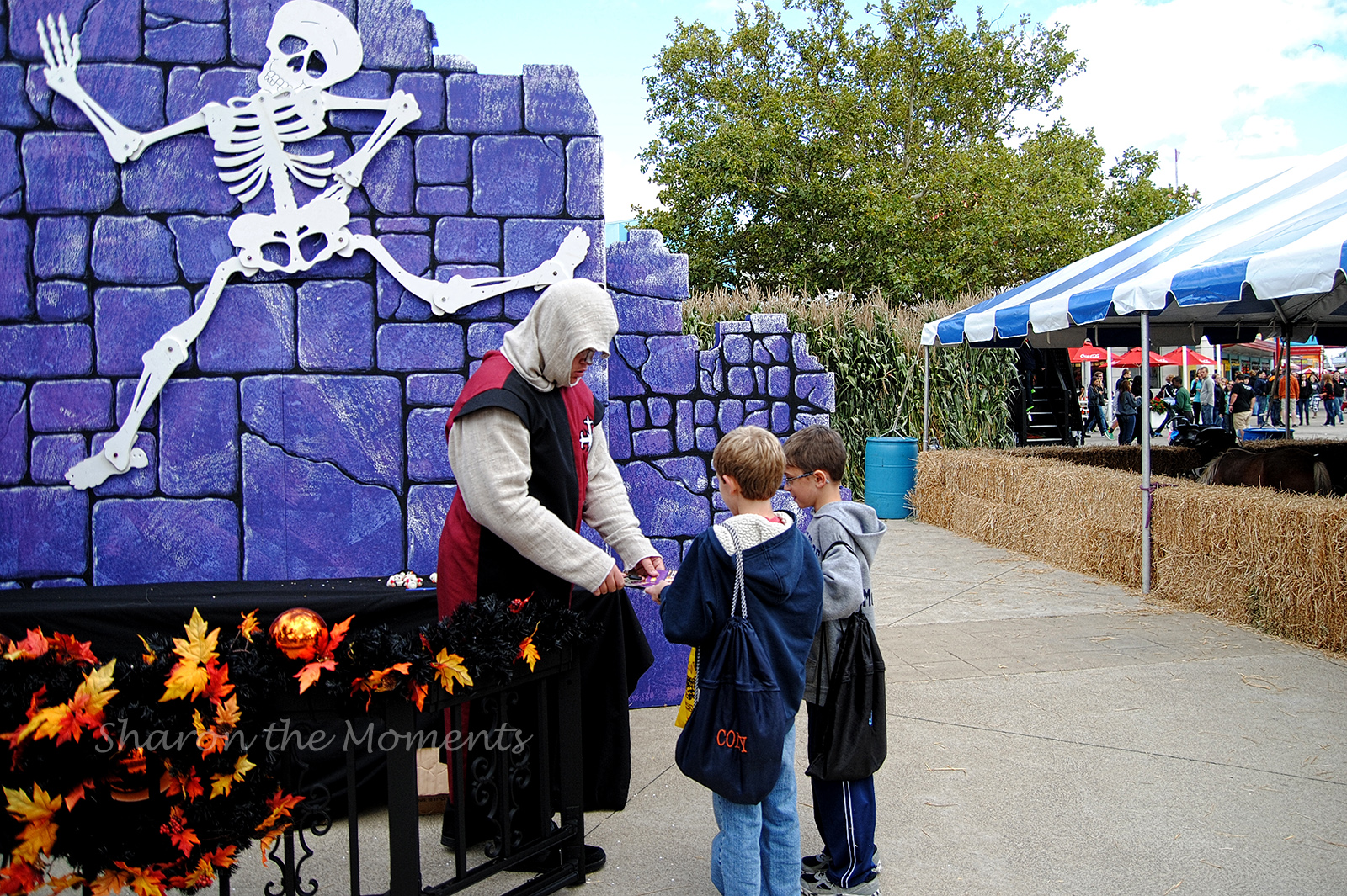 Fright or Fear or Family Fun... Last HalloWeekend at Cedar Point!|Sharon the Moments Blog 