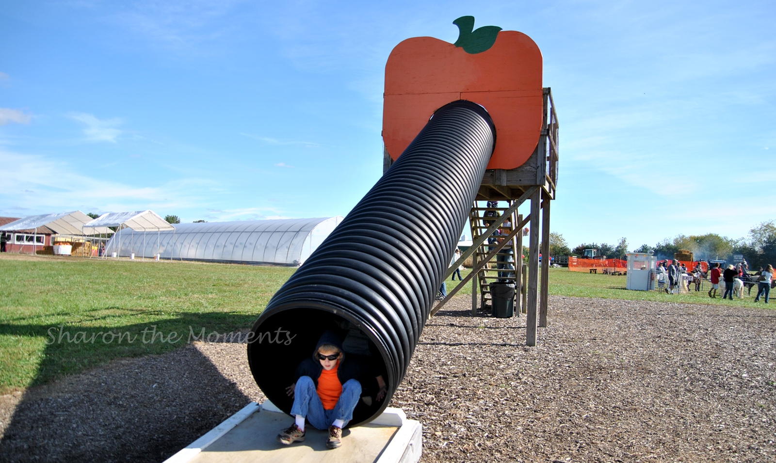 Pumpkin Patch Visit To Hidden Creek Farms|Sharon the Moments Blog