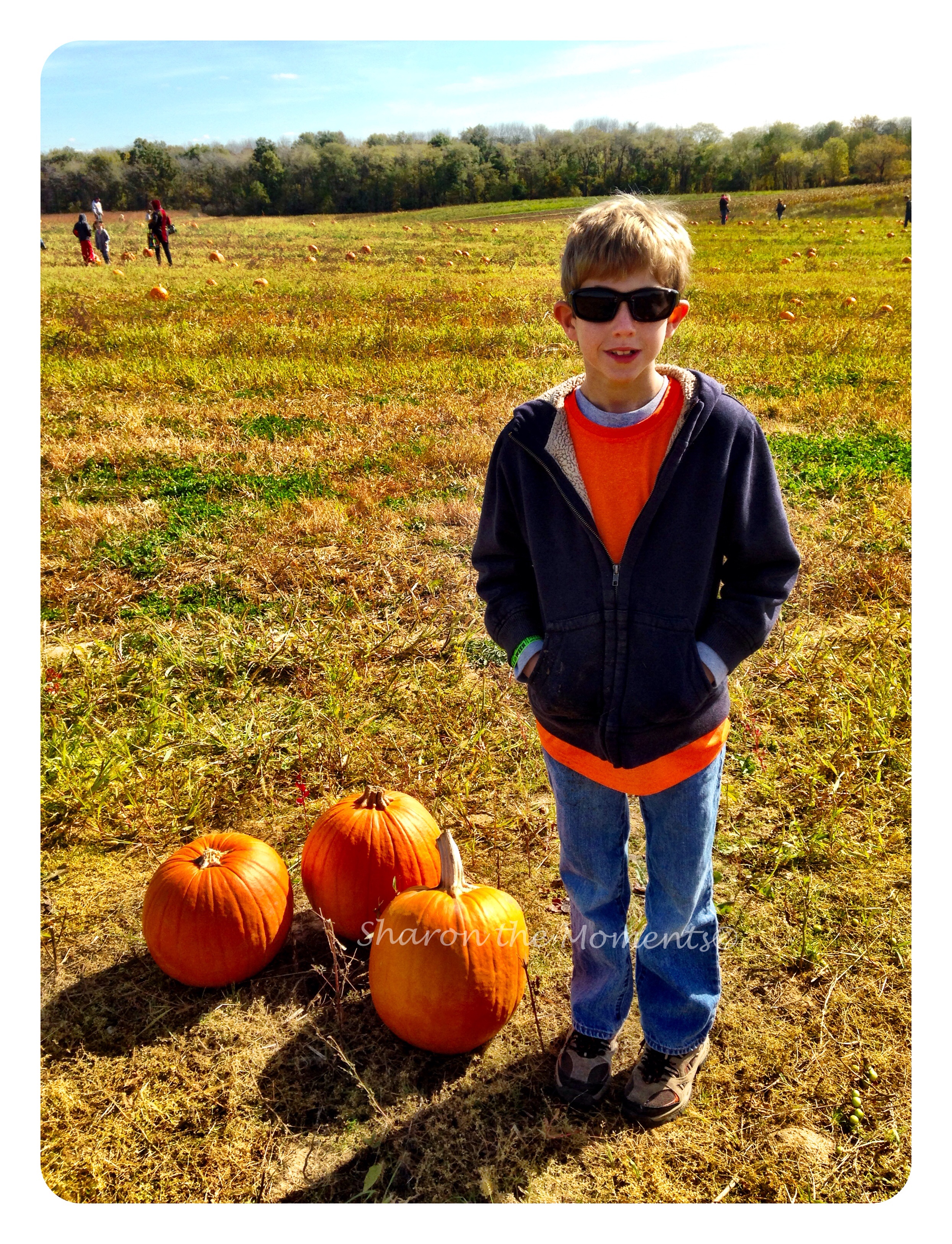 Pumpkin Patch Visit To Hidden Creek Farms|Sharon the Moments Blog