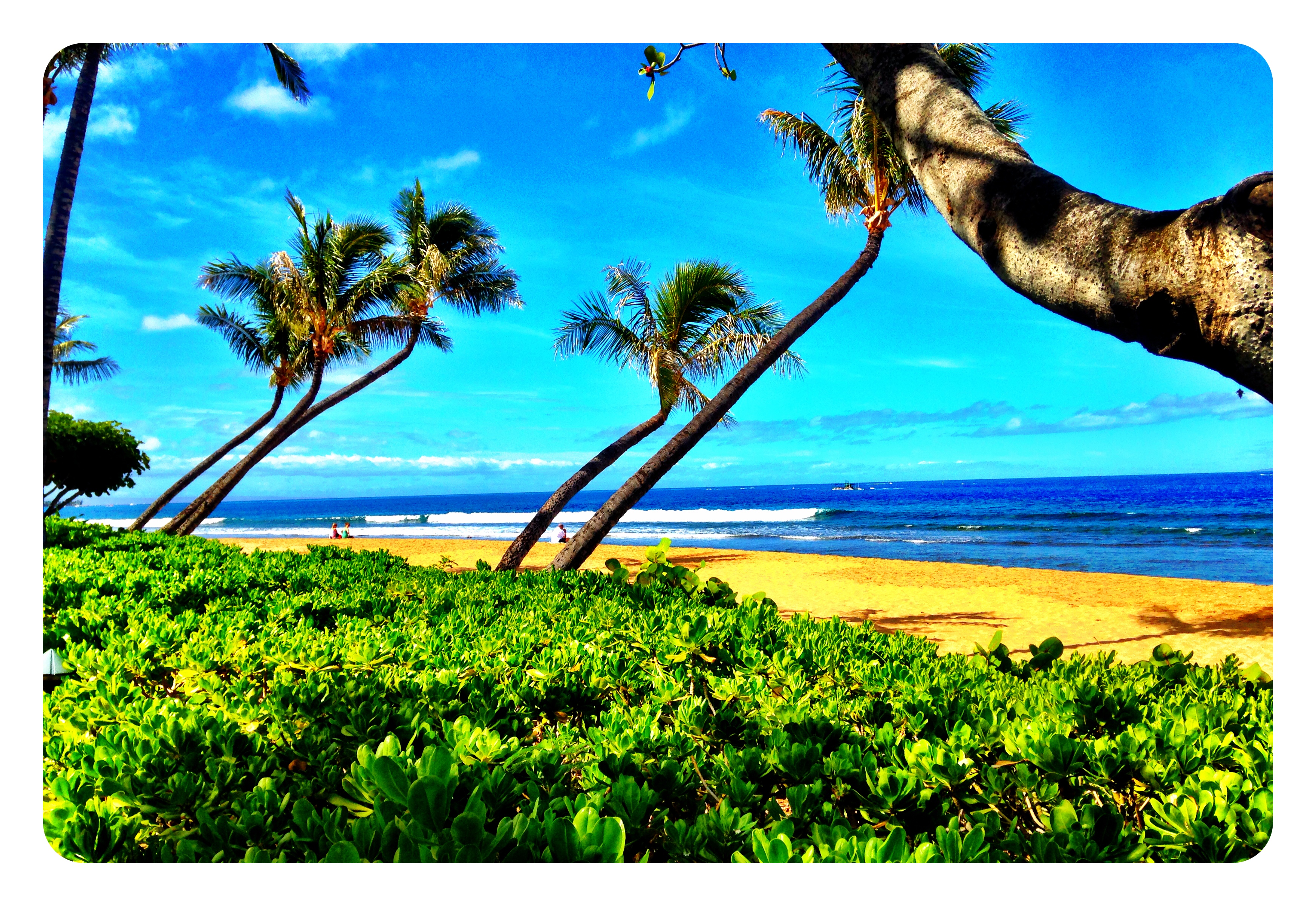 Our Shoreline SNUBA Experience in Kaanapali Beach in Maui Hawaii