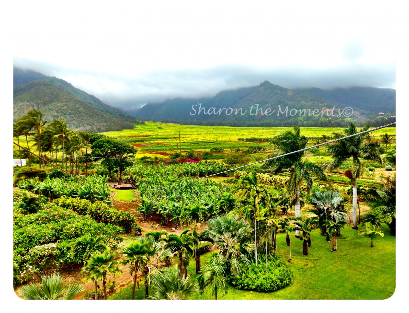 Maui Zipline Company is Hands Down a Wonderful Adventure |Sharon the Moments Blog