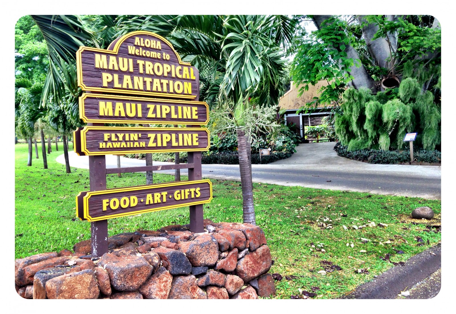 Maui Zipline Company is Hands Down a Wonderful Adventure |Sharon the Moments Blog