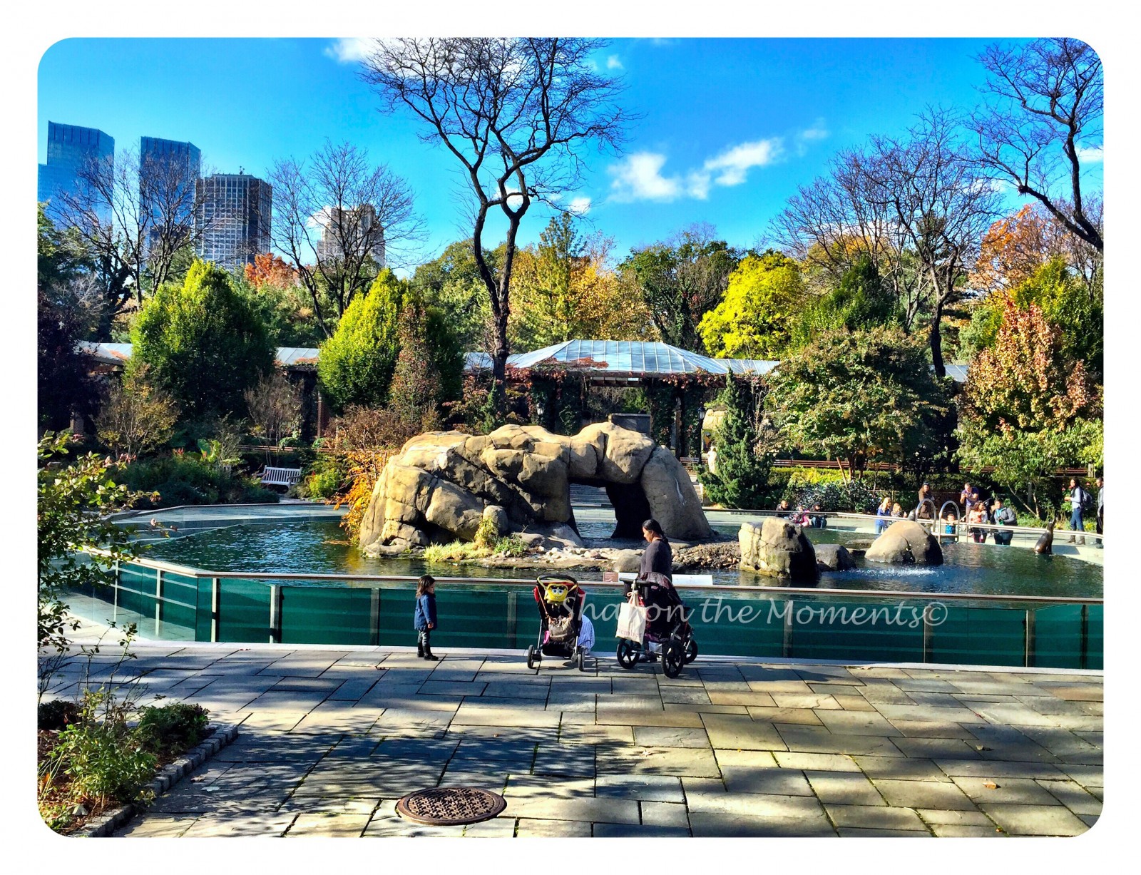 Central Park in New York City Hidden Gem - Sharon the Moments