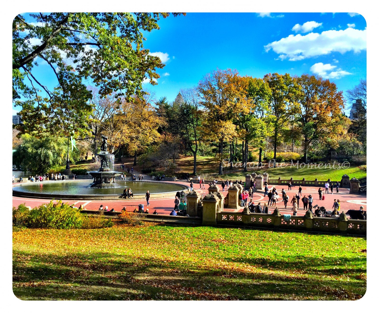 Central Park in New York City Hidden Gem| Sharon the Moments Blog