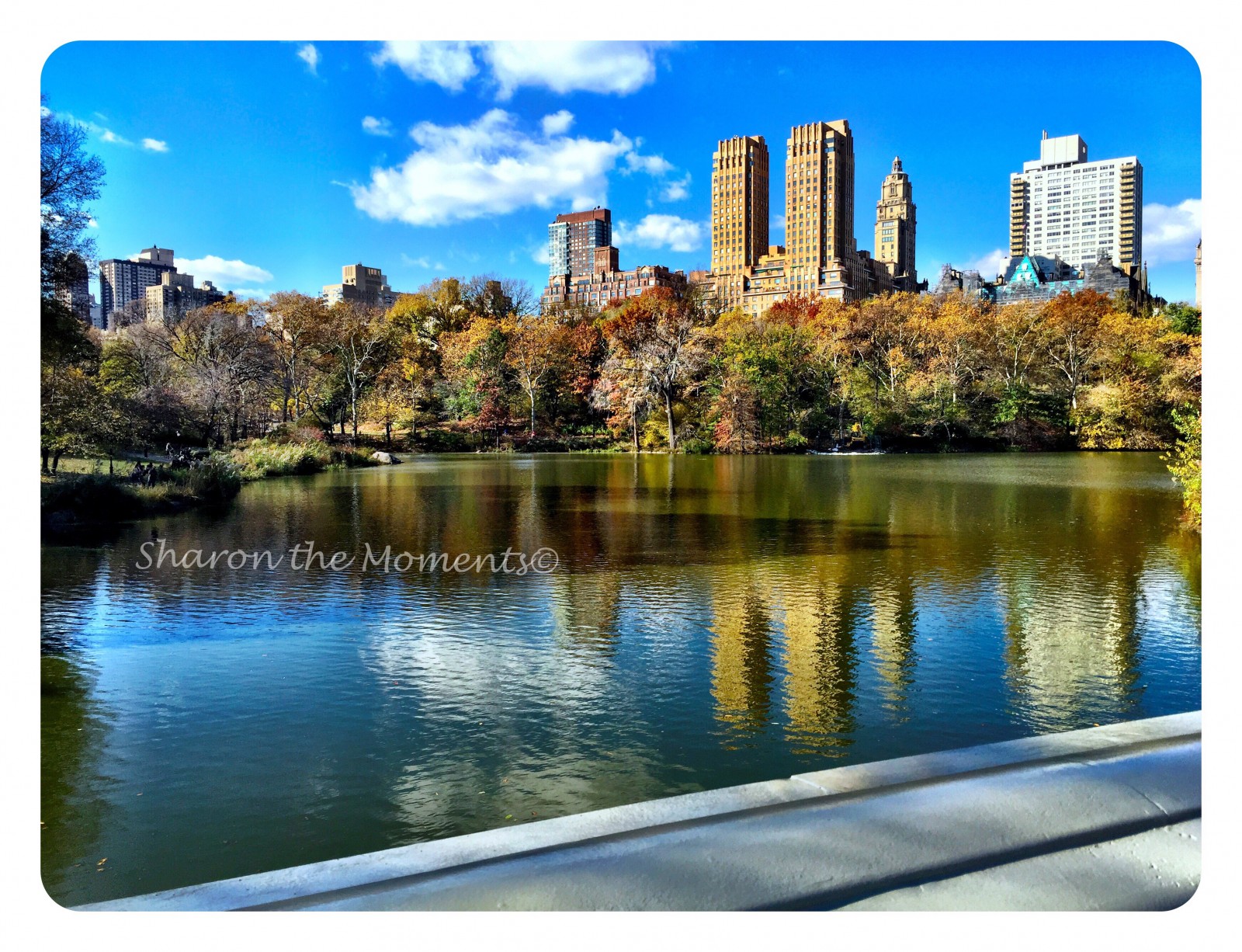 Central Park in New York City Hidden Gem| Sharon the Moments Blog