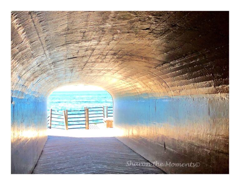 Favorite Photo Friday ™ … Tunnel of Love