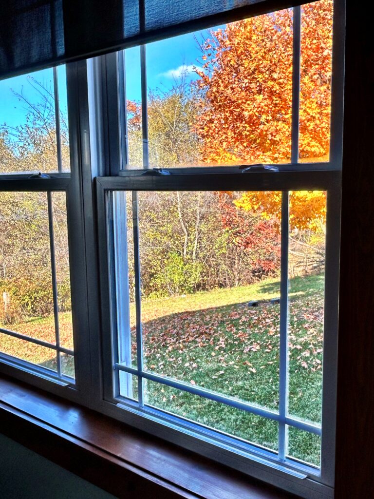 Favorite Photo Friday ™ … Try the Window